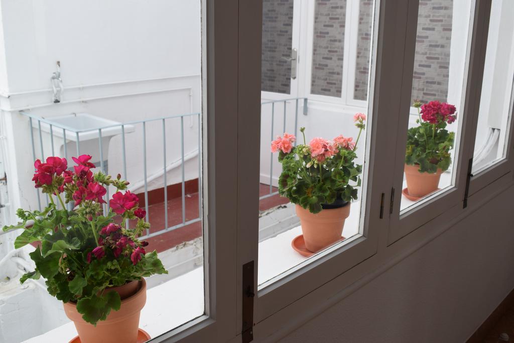 Apartamento San Pascual En Оріуела Екстер'єр фото